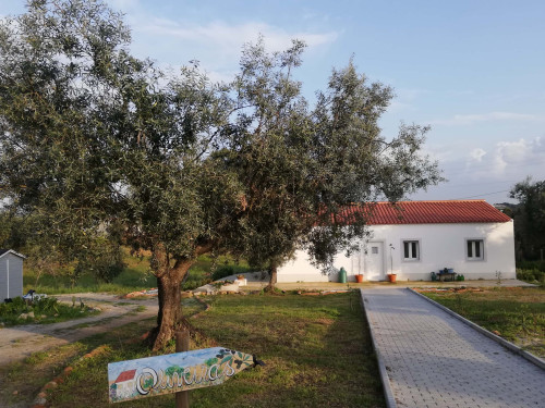 CASA DAS OLIVEIRAS Spacious & Confy Country-House in private sustainable family property amidst nature in Baixo-Alentejo Inland - PORTUGAL - Gallery - 89