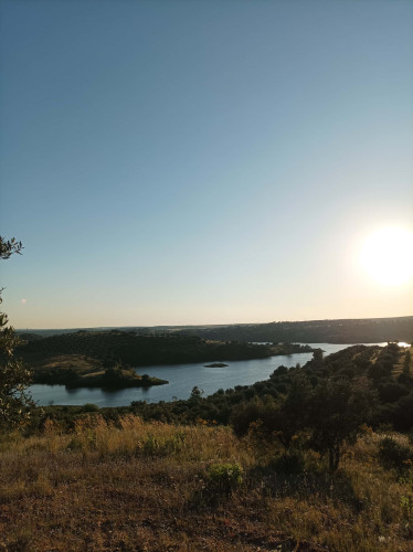 CASA DAS OLIVEIRAS Spacious & Confy Country-House in private sustainable family property amidst nature in Baixo-Alentejo Inland - PORTUGAL - Gallery - 33