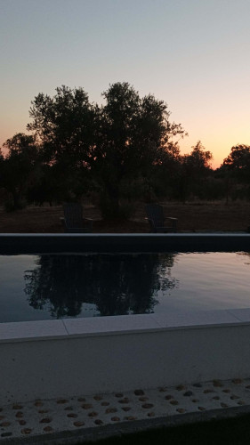 CASA DAS OLIVEIRAS Spacious & Confy Country-House in private sustainable family property amidst nature in Baixo-Alentejo Inland - PORTUGAL - Gallery - 6