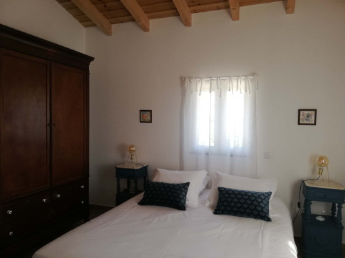 CASA DAS OLIVEIRAS Spacious & Confy Country-House in private sustainable family property amidst nature in Baixo-Alentejo Inland - PORTUGAL