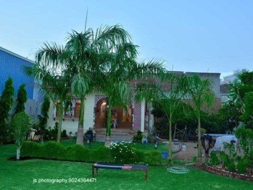 Farm House in Jaipur - Gallery - 18