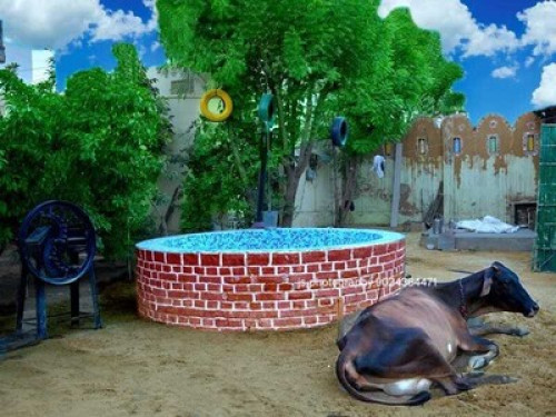 Farm House in Jaipur - Gallery - 13