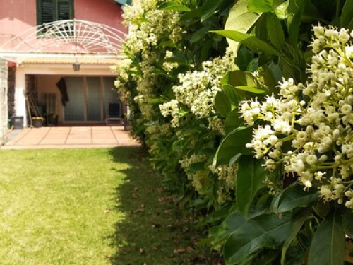 Close to the sea Villa with garden - Gallery - 14