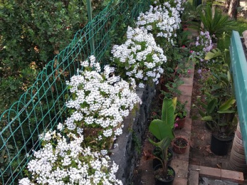 Close to the sea Villa with garden - Gallery - 12