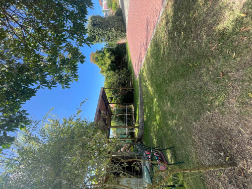 Casa da Avó
