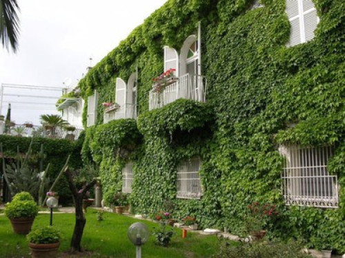 Countryside Apartment