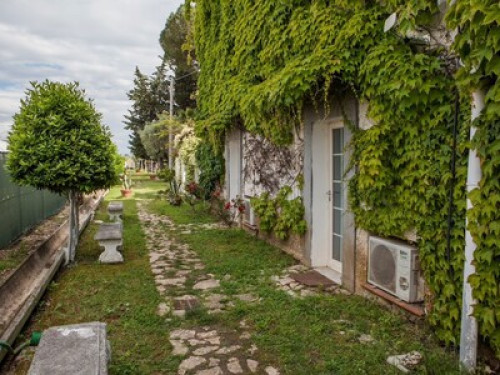 Countryside Apartment