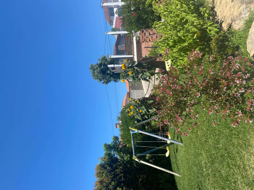 Casa da Adega - Gallery - 28