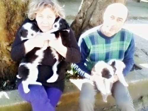 amichevoli persone aperte