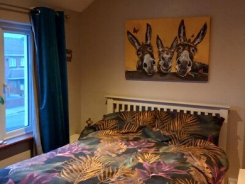 Cosy Room by the Canal - Gallery - 9