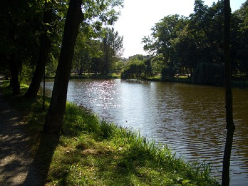 Friendly apartment close to Warsaw   - Gallery -  5