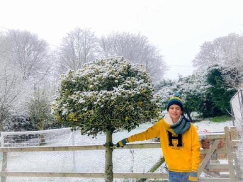 enjoy-stratford-upon-avon-with-us-birmingham-174140184720240821043346AM