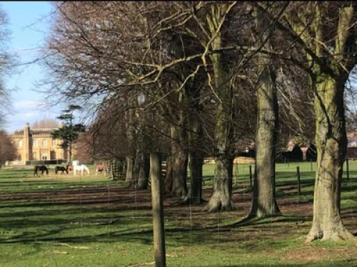 enjoy-stratford-upon-avon-with-us-birmingham-63162693120240821043311AM