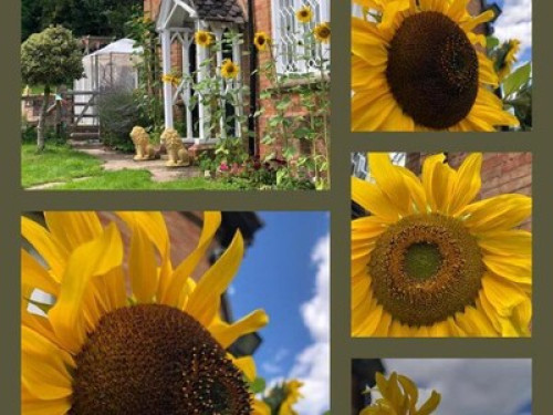 enjoy-stratford-upon-avon-with-us-birmingham-7180745120240821043336AM