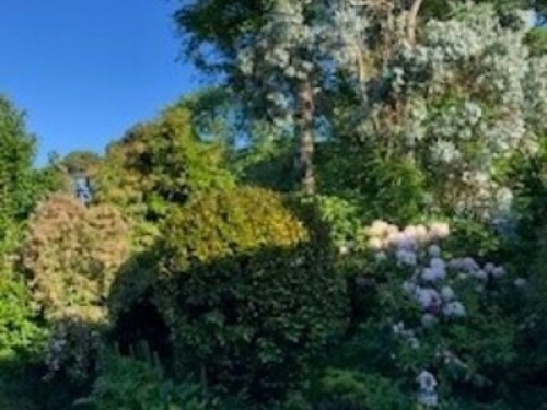 Country House - Mountains & Beaches  - Gallery -  5