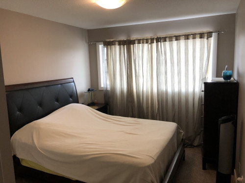 fully furnished study and room - Gallery - 12