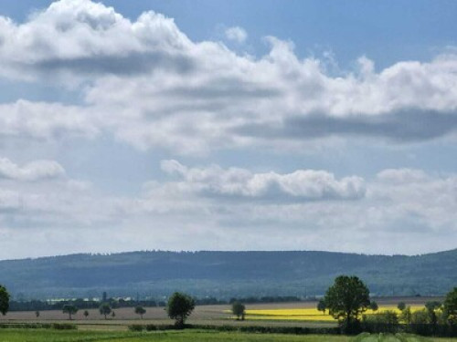 Holiday apartment with garden view