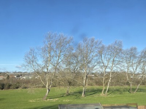 Wellingborough Resort