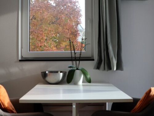 Private suite in Oostzaan - Gallery - 7