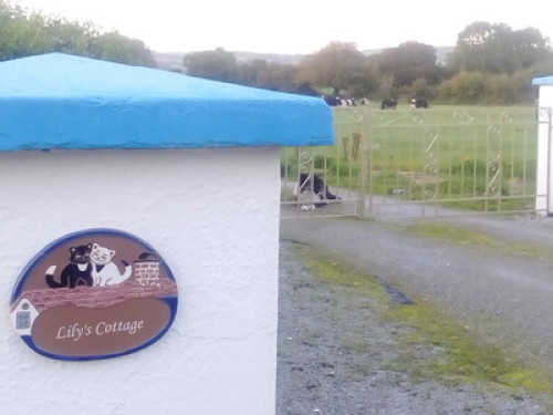 Friendly Country Cottage with Pets