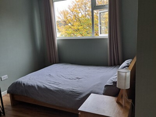 Double Room in a Family Home - Gallery - 8