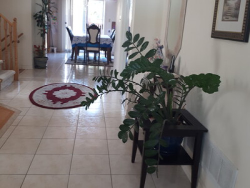 Beautiful, spaceous rooms for rent. - Gallery - 33