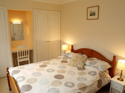 Double room in horse racing village - Gallery - 9