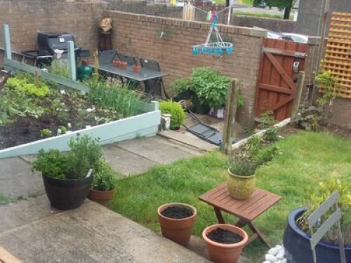 experienced-homestay-hosts-cardiff-151809354720240822045545AM
