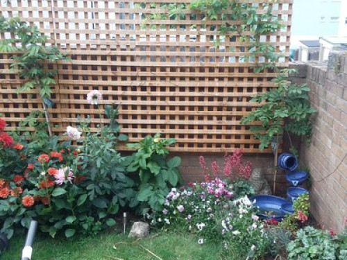 experienced-homestay-hosts-cardiff-18696651020240822045544AM