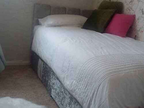 experienced-homestay-hosts-cardiff-202960851020240822045546AM