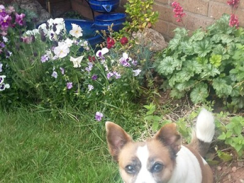 experienced-homestay-hosts-cardiff-58156301520240822045545AM
