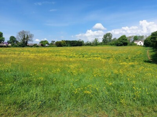 kingsize-ensuite-private-garden-bristol-146637891820240822050003AM