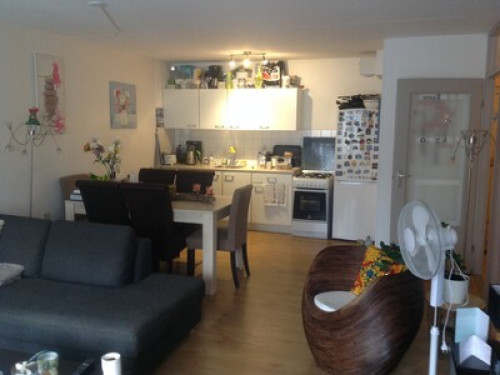 Furnish Room and living room - Gallery - 19