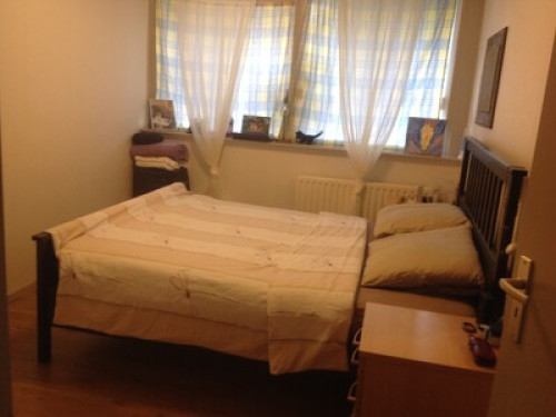 Furnish Room and living room