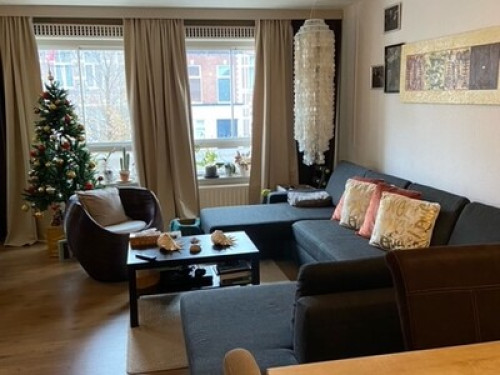 Furnish Room and living room - Gallery - 13