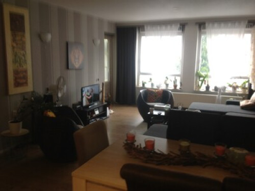 Furnish Room and living room - Gallery - 20
