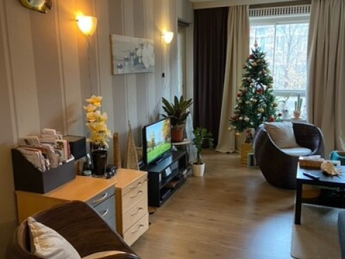 Furnish Room and living room - Gallery - 14