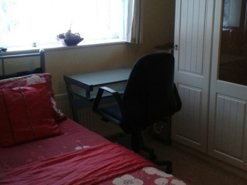 Tyddyn Bach new homes
