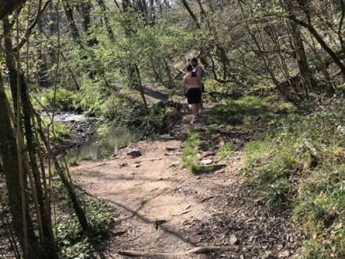 Double Room for a Female Guest