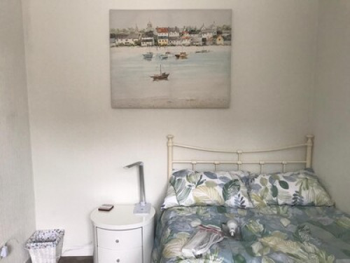 Double Room for a Female Guest