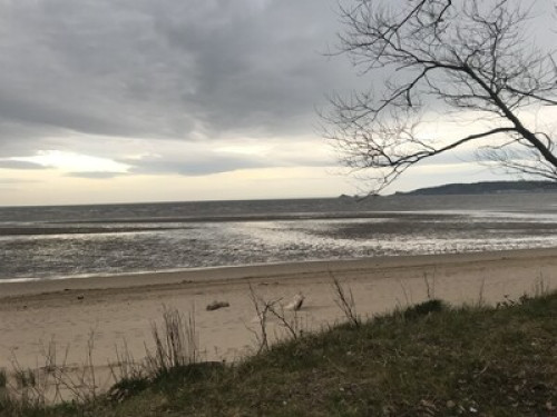 Double Room for a Female Guest