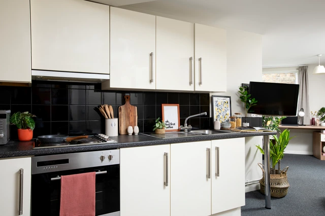  Double Wheelchair Accessible Studio  -  Elizabeth Croll House Unite  - Gallery -  4