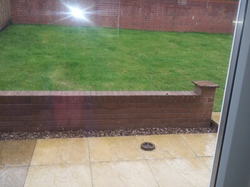 friendly-down-to-earth-host-nottingham-115381271020240822052755AM
