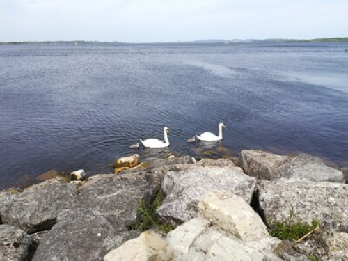 fun and sporty family lakeside - Gallery - 6