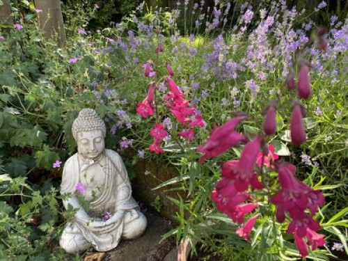 Beautiful North Norfolk Retreat - Gallery - 11