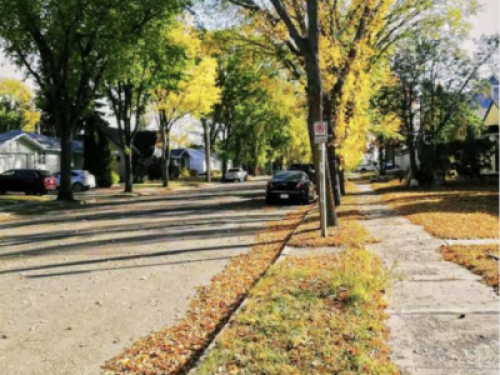 Amazing 2 Bedrooms House Suite