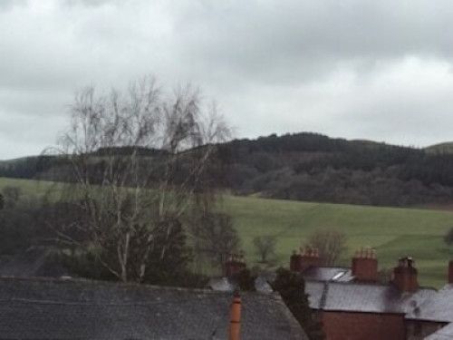 welcoming-townhouse-in-wales-birmingham-101808988920240822053258AM