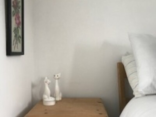 welcoming-townhouse-in-wales-birmingham-34409279920240822053253AM