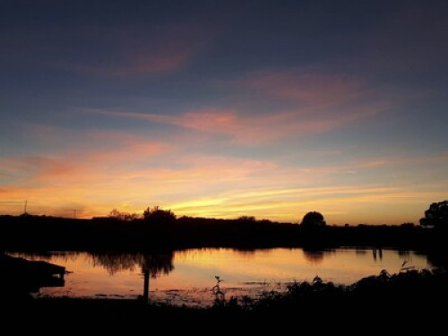 Beautiful home, spacious room - Gallery - 7
