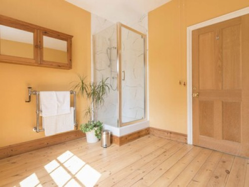 Beautiful home, spacious room